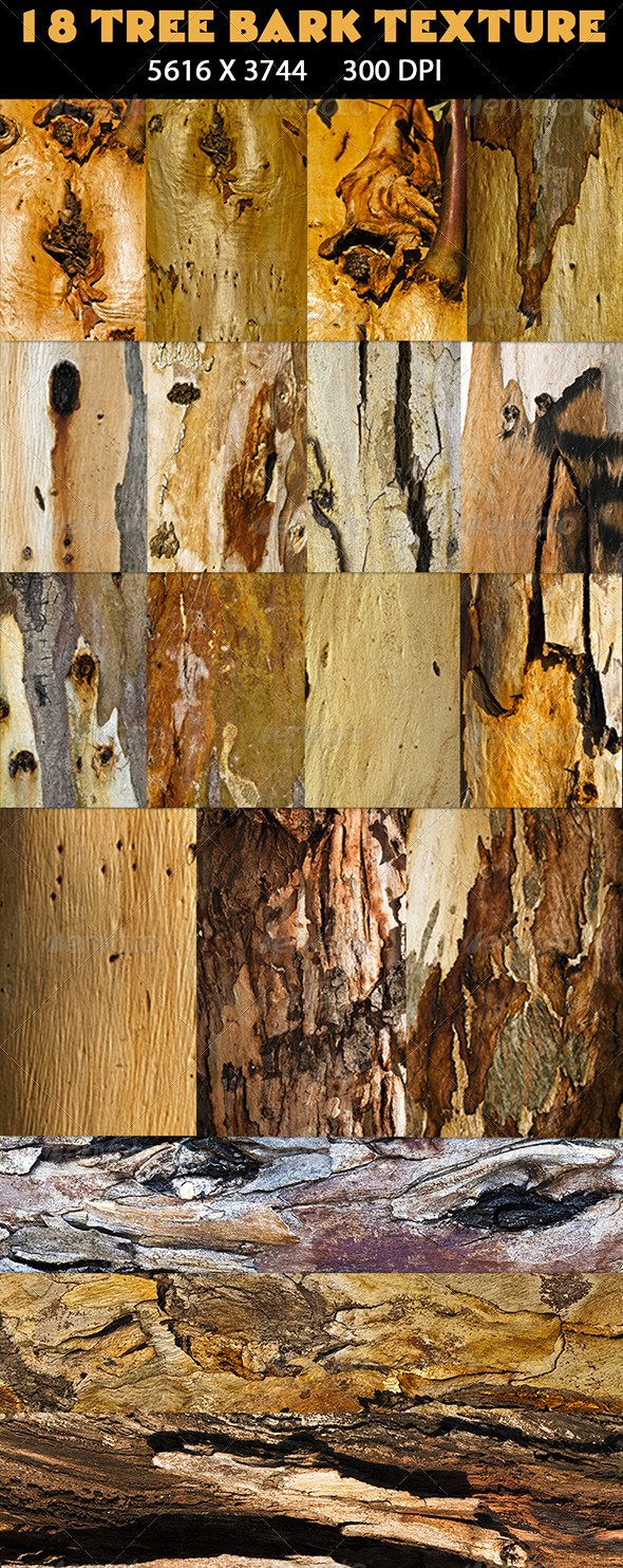 18 Tree Bark Texture - Wood Textures
