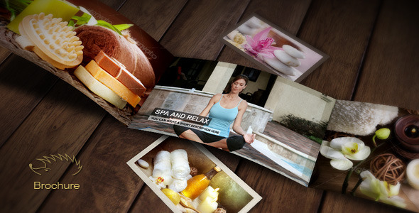 After Effects Project - VideoHive Brochure 2680329 After Effects Project - VideoHive Brochure 2680329
