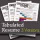 Tabulated Resume (03 Different Versions) - GraphicRiver Item for Sale