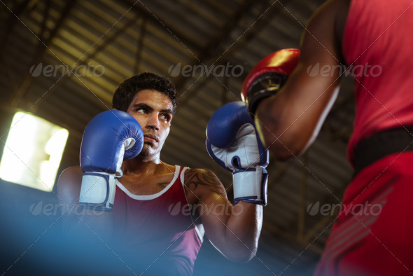 Two male athletes fight in boxing ring - Stock Photo - Images