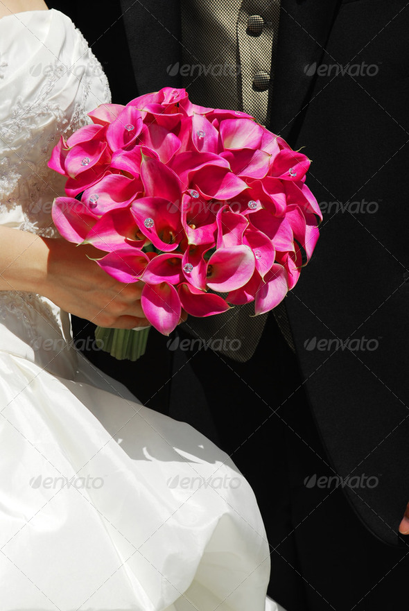 Royalty Free Stock Photography : Wedding Couple Photodune 197558 Royalty Free Stock Photography : Wedding Couple Photodune 197558