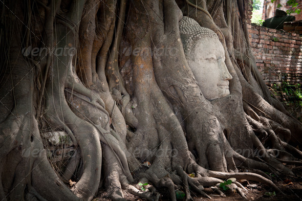 Head of Sandstone Buddha - Stock Photo - Images