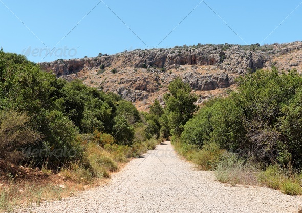 Outdoor road between two rows of bushes toward gray and orange rocks - Stock Photo - Images