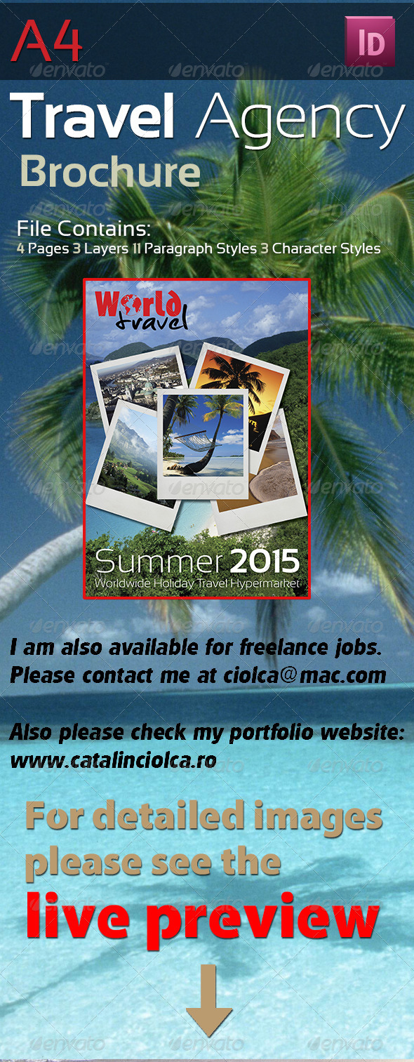 4 Pages Travel Agency Brochure - Informational Brochures