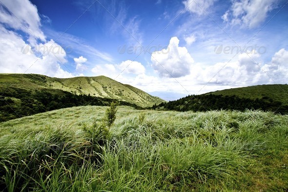 hill - Stock Photo - Images