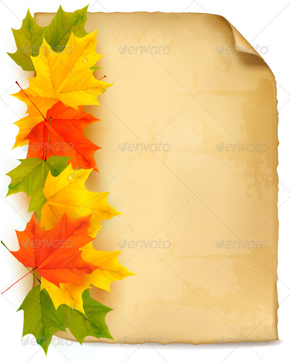 Autumn background with color leaves and old paper. - Seasons Nature