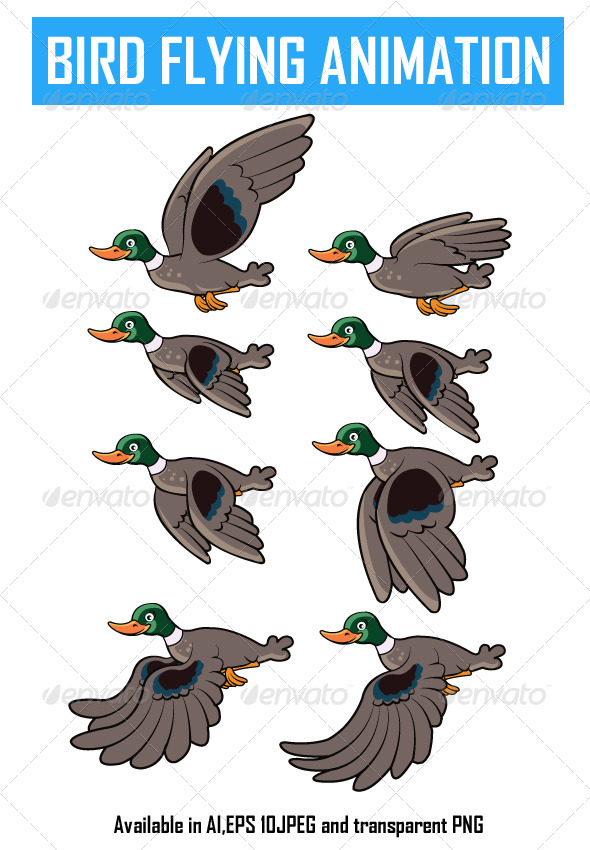 Bird Flying Animation - Animals Characters