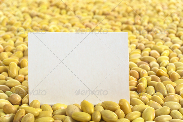 Raw canary beans (peruano beans, yellow beans) with blank card (Selective Focus, Focus on the card)