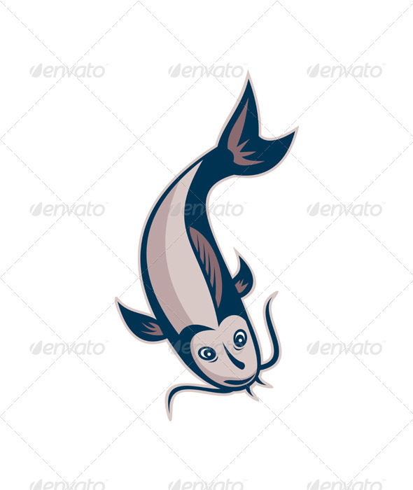 Catfish Fish Swimming Down - Animals Characters
