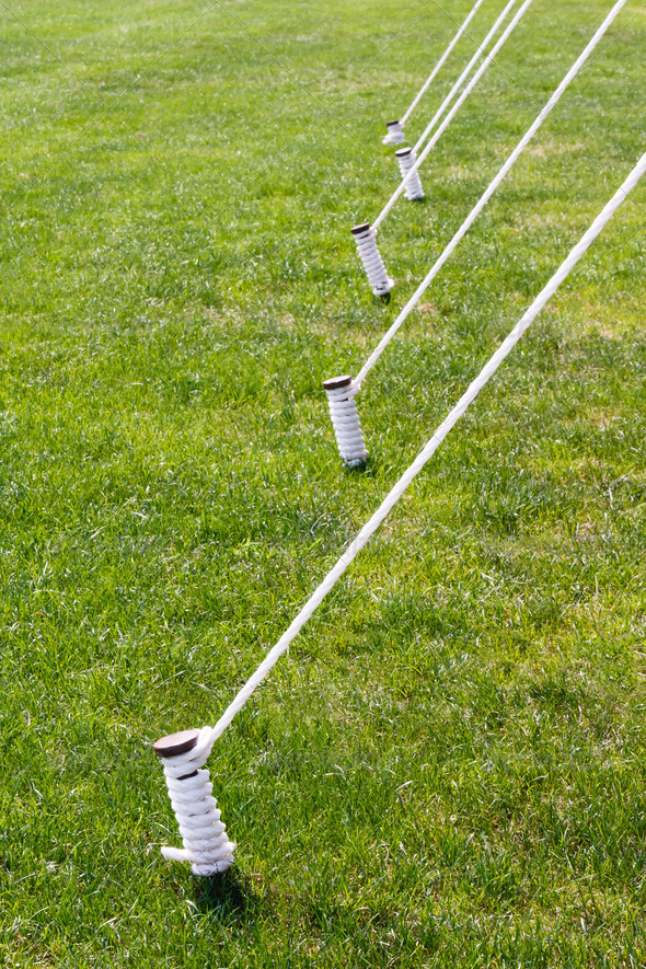 Five Tied Tent Stakes