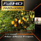 Your Life, Your Color! New Design, FullHD. Your Life, Your Color! New Design, FullHD. - VideoHive Item for Sale