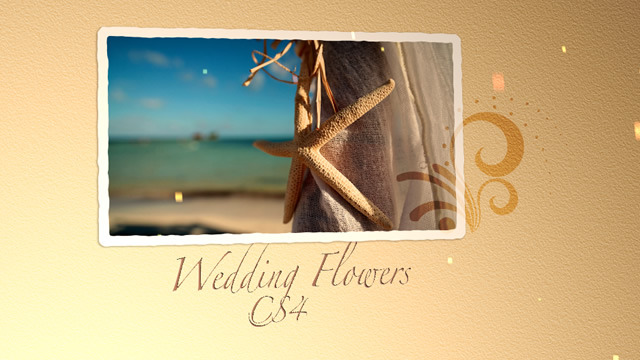Adobe After Effects Cs4 Wedding Project Files Free
