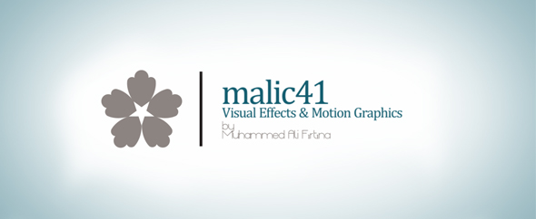malic41