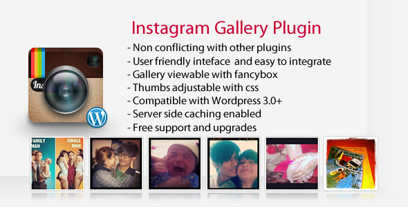 Instagram Gallery - Wordpress Plugin - CodeCanyon Item for Sale