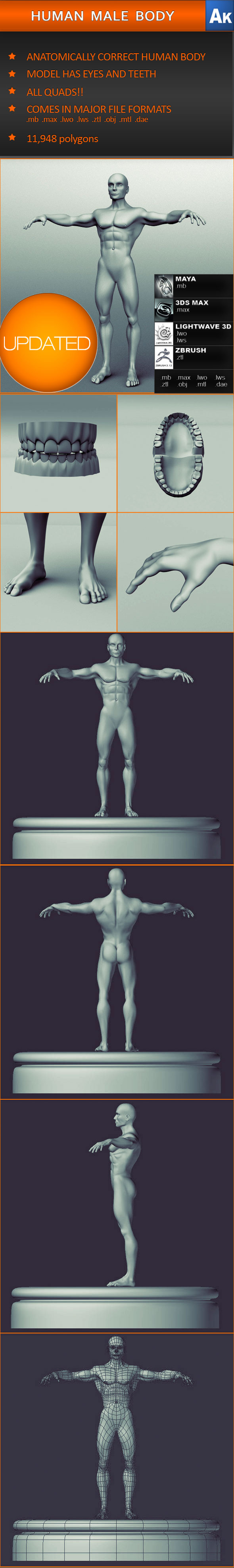 3DOcean Human Male Body Anatomically correct 244391 3DOcean Human Male Body Anatomically correct 244391