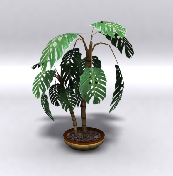 3DOcean Lowpoly plant 112200 3DOcean Lowpoly plant 112200