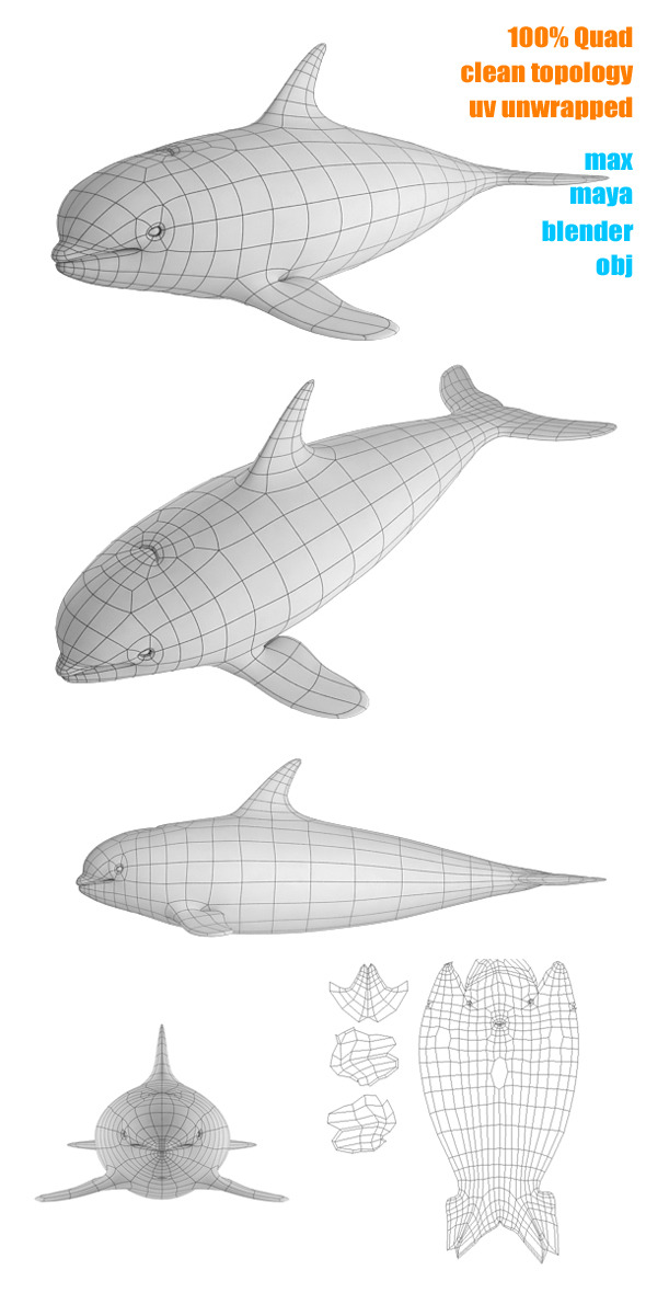 3DOcean Whale Base Mesh 3232094 3DOcean Whale Base Mesh 3232094