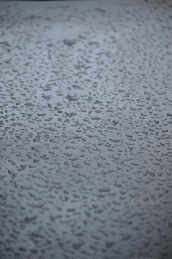 Raindrops - Stock Photo - Images