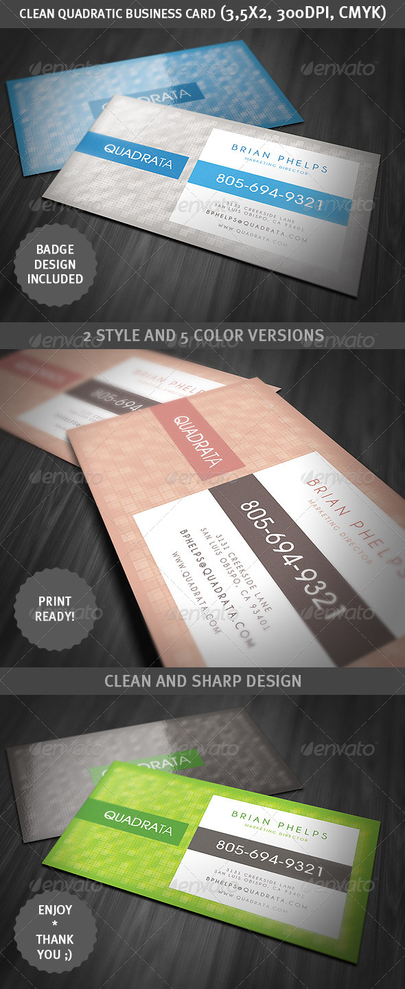 Clean Quadratic Business Card - Corporate Business Cards
