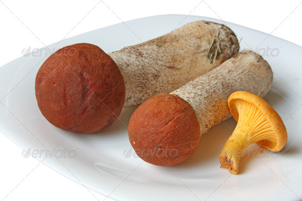 Mushrooms on a plate - Stock Photo - Images