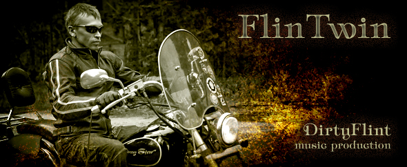 FlinTwin