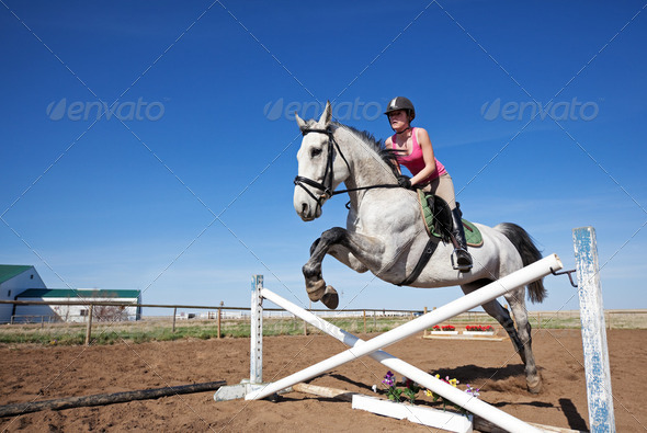 Show Jumper - Stock Photo - Images