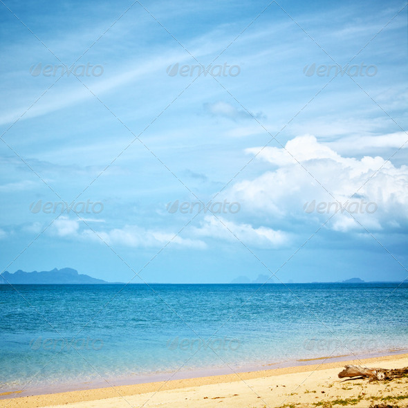 Tropical Beach - Stock Photo - Images