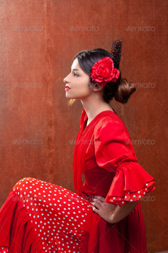 Flamenco dancer Spain woman gipsy with red rose - Stock Photo - Images