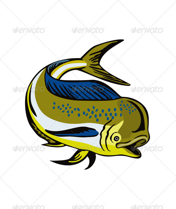 GraphicRiver Dorado Dolphin Fsh Mahi-Mahi 3310447 GraphicRiver Dorado Dolphin Fsh Mahi-Mahi 3310447