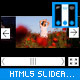 HTML5 Flow Responsive Slider - CodeCanyon Item for Sale