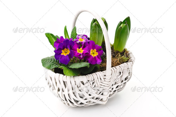 Spring bouquet - Stock Photo - Images