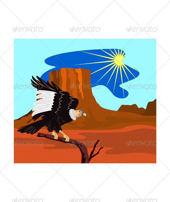 GraphicRiver Vulture Buzzard Bird 3331805 GraphicRiver Vulture Buzzard Bird 3331805