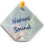 Nature Sound