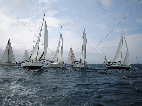 Veleros en regata - Stock Photo - Images