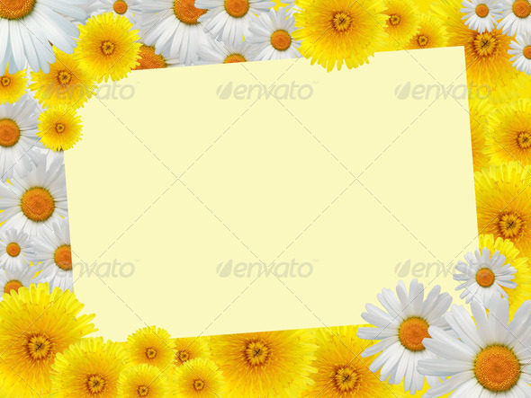 Flowers Greeting Card - Stock Photo - Images
