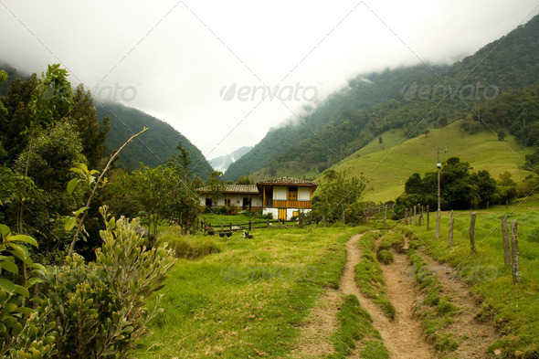 Path by Cocora Valley - Stock Photo - Images