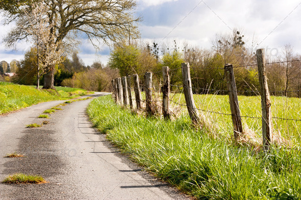 Landscape and fence - Stock Photo - Images