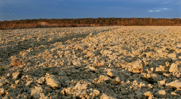 Cultivated field - Stock Photo - Images
