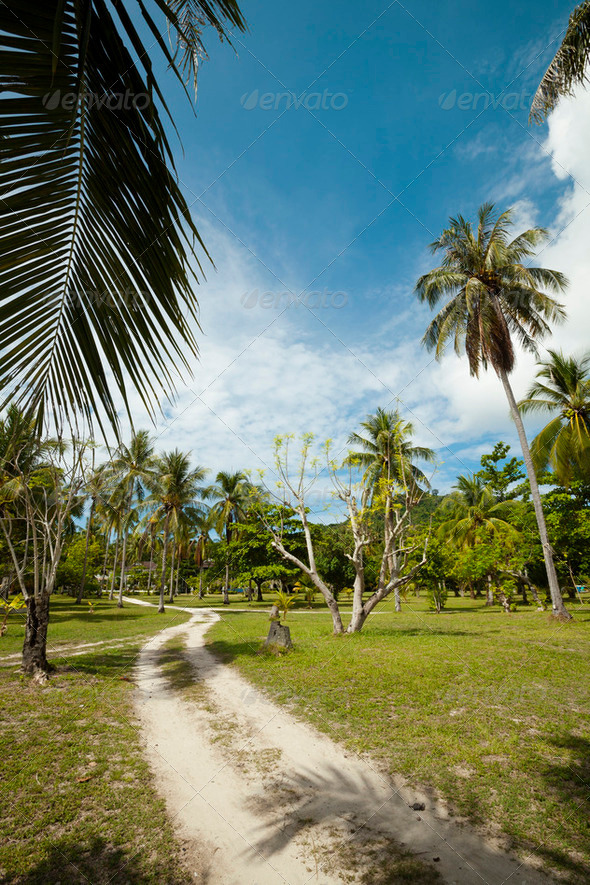 Tropical landscape, vertical shot - Stock Photo - Images