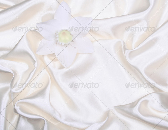 White flower on smooth elegant white silk as wedding background - Stock Photo - Images