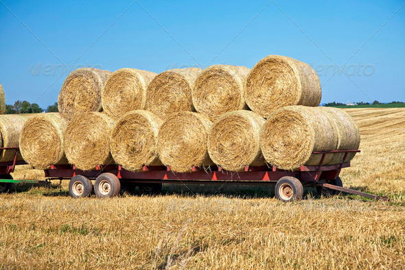 Hay Wagon - Stock Photo - Images