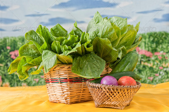 Fresh organic vegetables - Stock Photo - Images