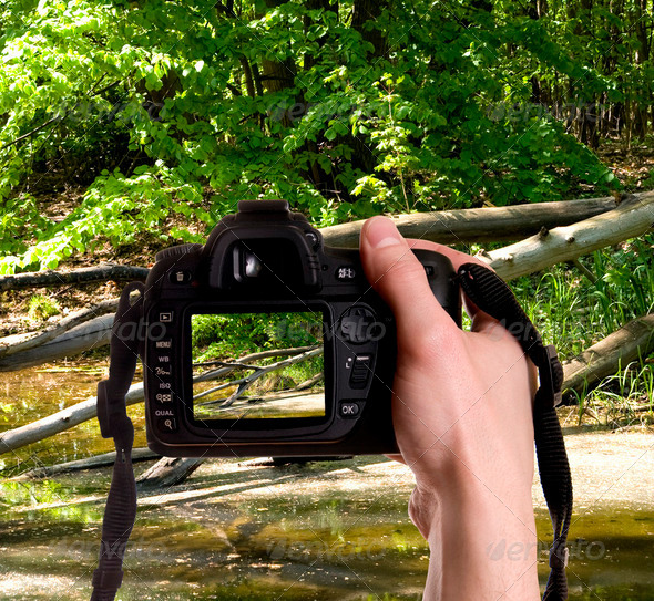 Photo nature - Stock Photo - Images