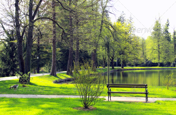 In the park - Stock Photo - Images