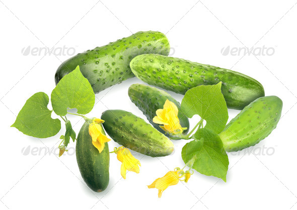 Green cucumbers with leaf and yellow flowers - Stock Photo - Images