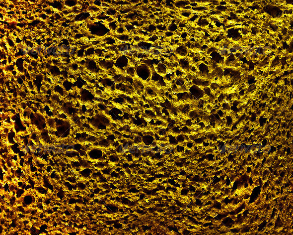 Bread Close-Up - Stock Photo - Images