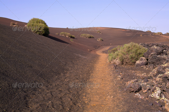 Path across volcanic park - Stock Photo - Images