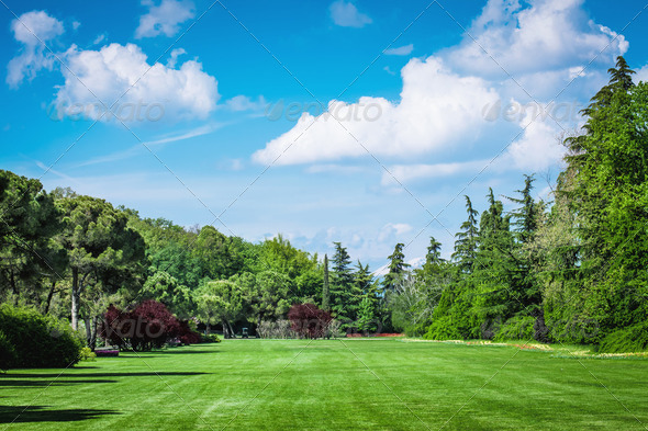 Golf Field - Stock Photo - Images