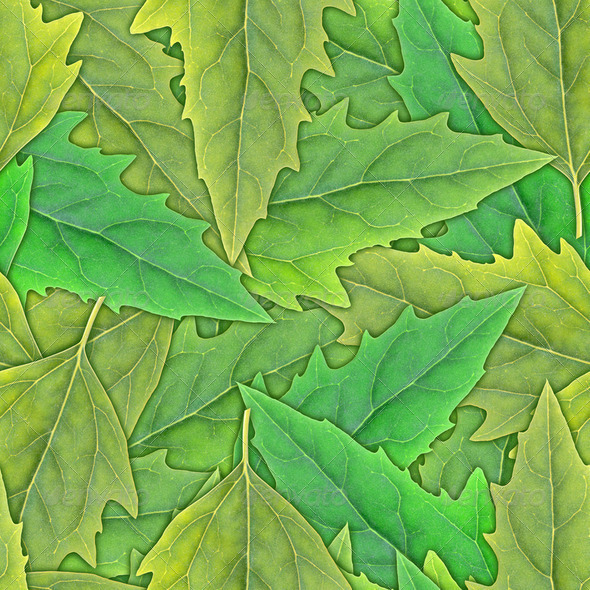 Seamless pattern of green leafs - Stock Photo - Images