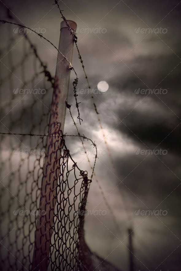 Barbed wire in evening - Stock Photo - Images